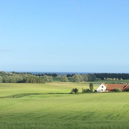 Garden Mellan Slotten Svarte Esterno foto