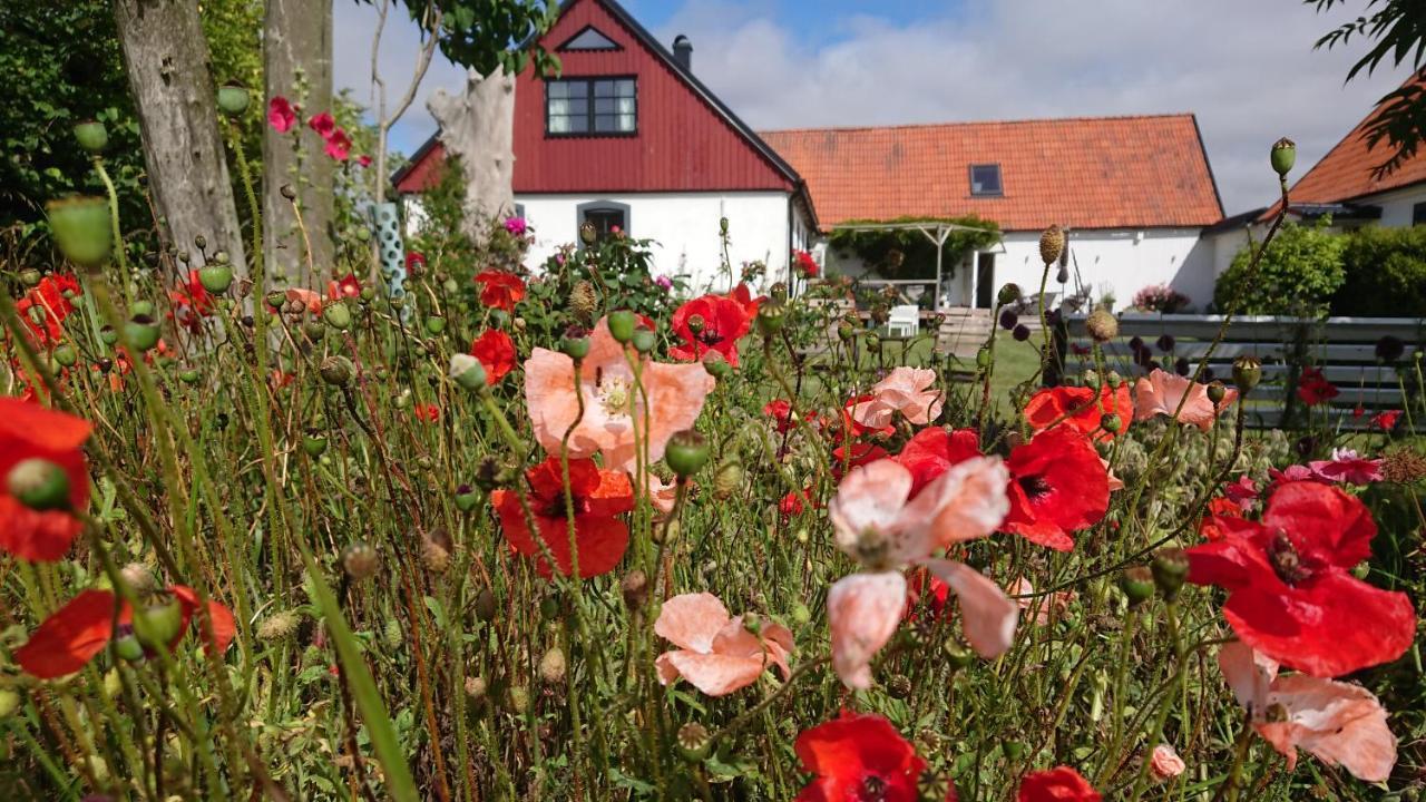 Garden Mellan Slotten Svarte Esterno foto