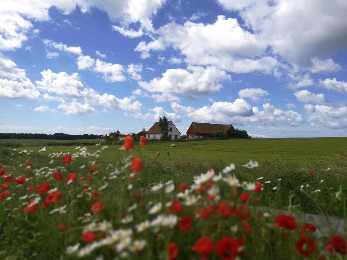 Garden Mellan Slotten Svarte Esterno foto