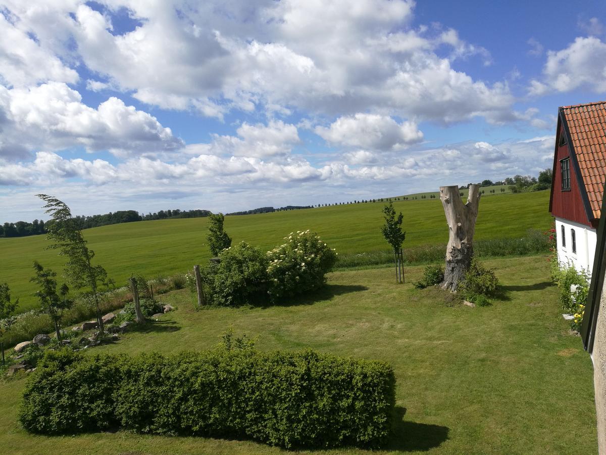 Garden Mellan Slotten Svarte Esterno foto