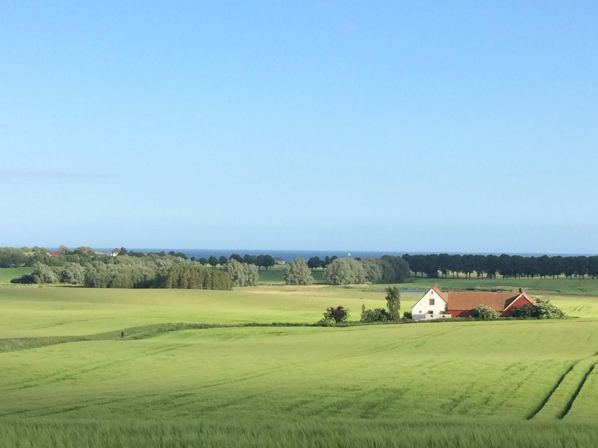 Garden Mellan Slotten Svarte Esterno foto