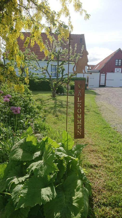 Garden Mellan Slotten Svarte Esterno foto
